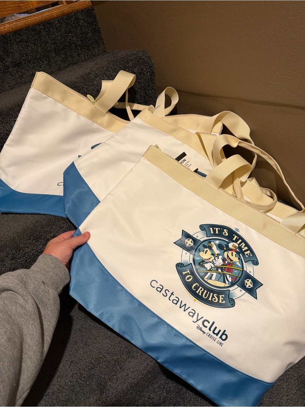 NEW Disney Cruise Line Castaway Club Zippered Tote Bag It’s Time To Cruise 21x14
